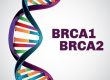 brca-gene