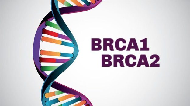brca-gene